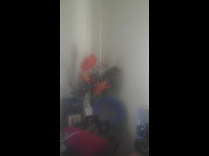 4 herschel street, Clermont QLD 4721