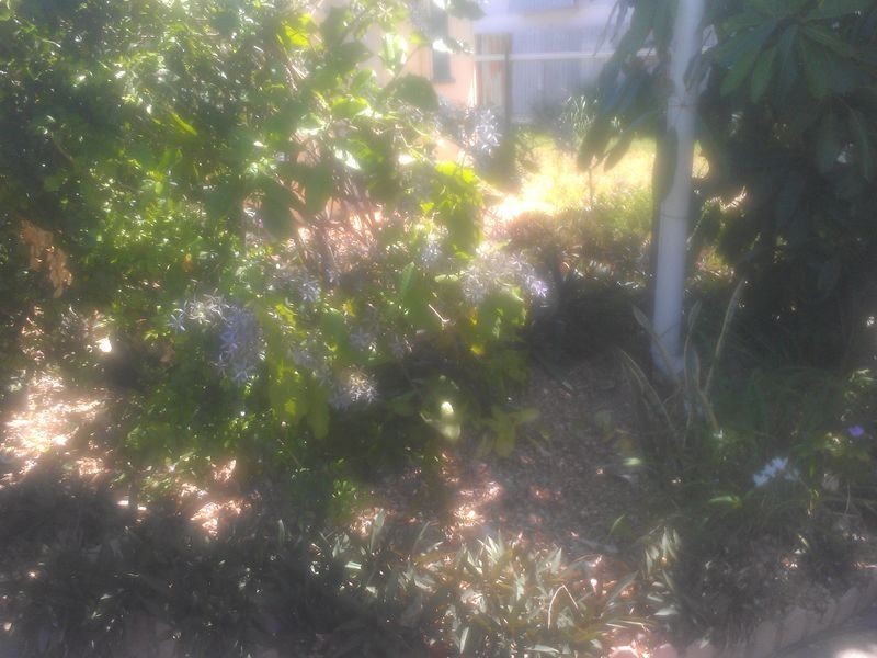 4 herschel street, Clermont QLD 4721