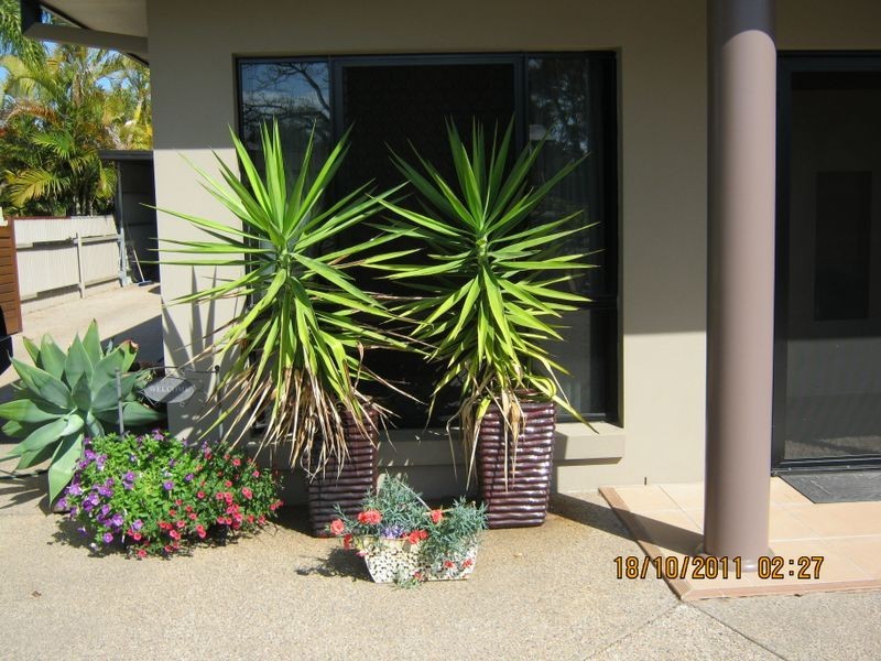 54 Capricorn Street, Clermont QLD 4721