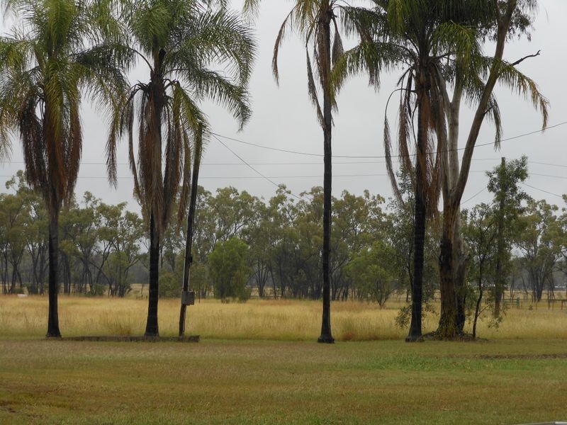 70 Cotton Patch Lane, Clermont QLD 4721