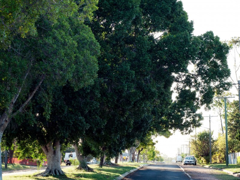 12 Sirius Street, Clermont QLD 4721