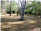 102 Cotton Patch Lane, Clermont QLD 4721