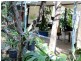 102 Cotton Patch Lane, Clermont QLD 4721