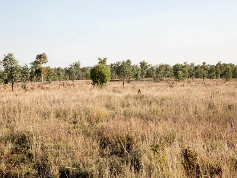 “The Grid”/661 Peakvale Road, Clermont QLD 4721