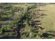 563 Rubyvale Road, Clermont QLD 4721
