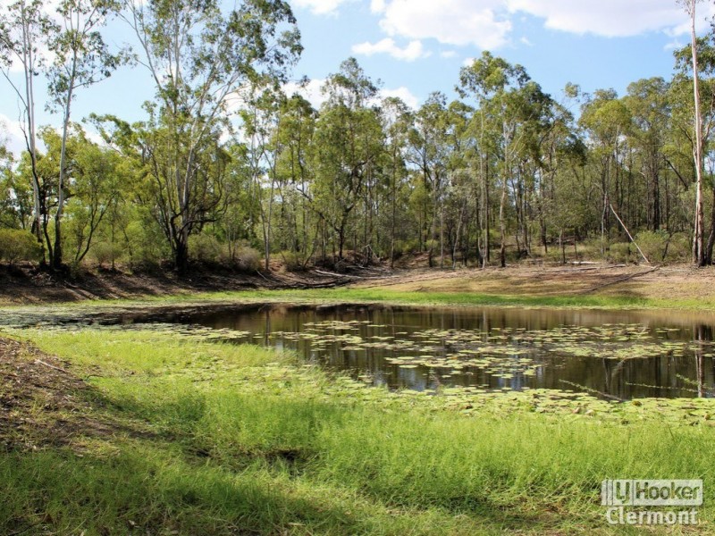591 Laglan Road, Clermont QLD 4721