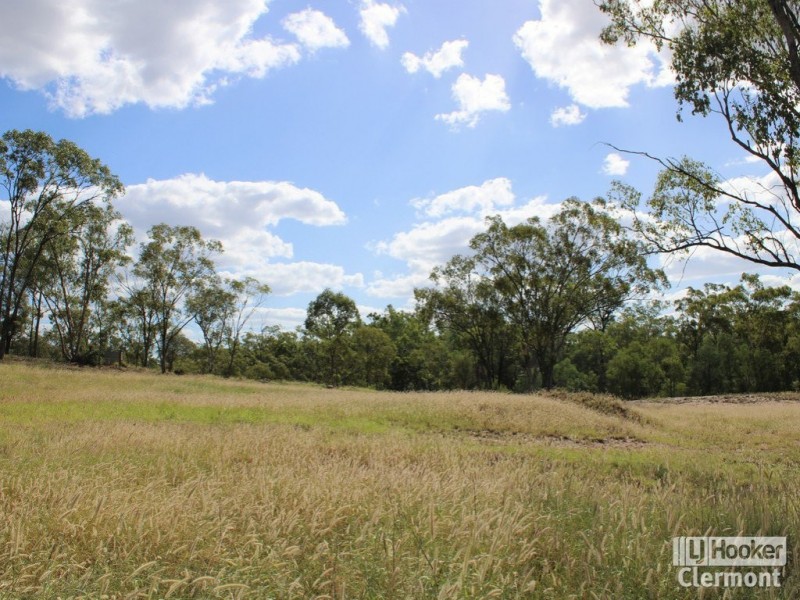 591 Laglan Road, Clermont QLD 4721