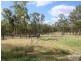 591 Laglan Road, Clermont QLD 4721