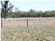546 Clermont Alpha Road, Clermont QLD 4721
