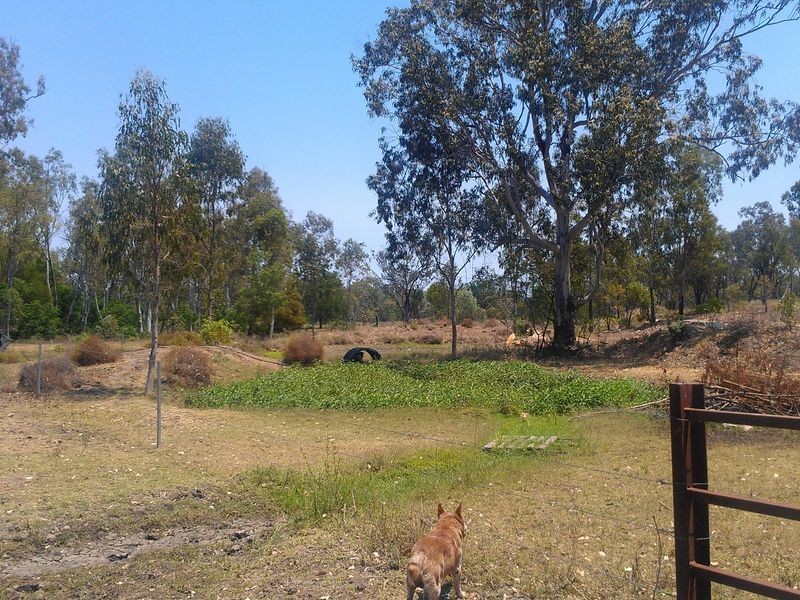15707 Gregory Highway, Clermont QLD 4721