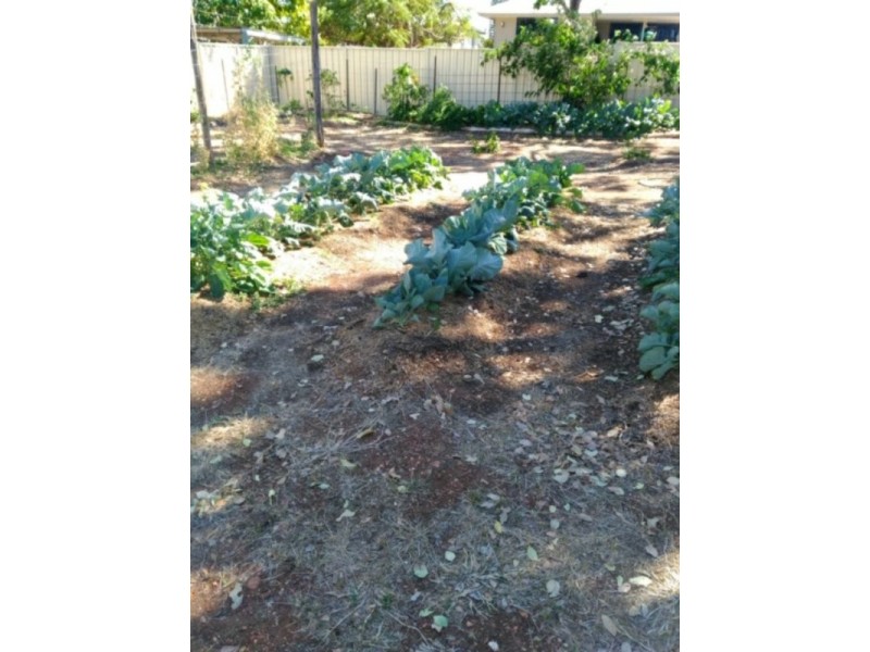 20 Lavarack Street, Clermont QLD 4721