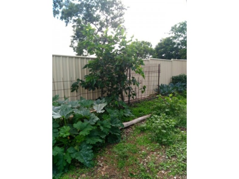 20 Lavarack Street, Clermont QLD 4721