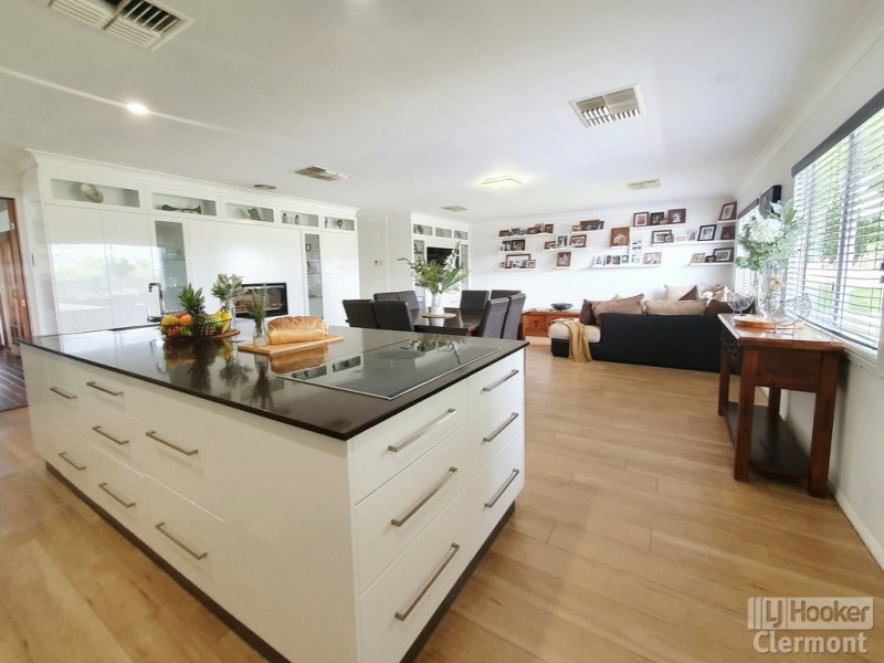 1049 Laglan Road, Clermont QLD 4721