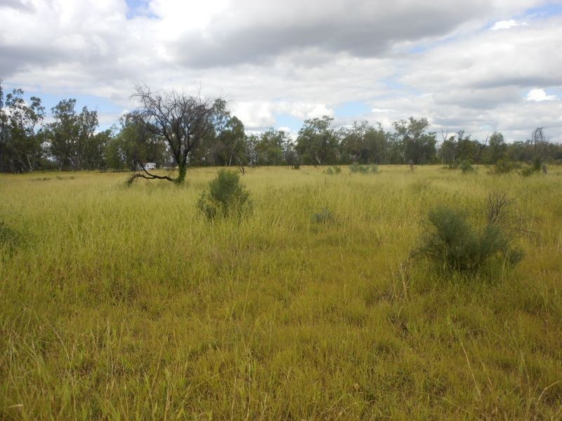 82 Melrose Drive, Clermont QLD 4721