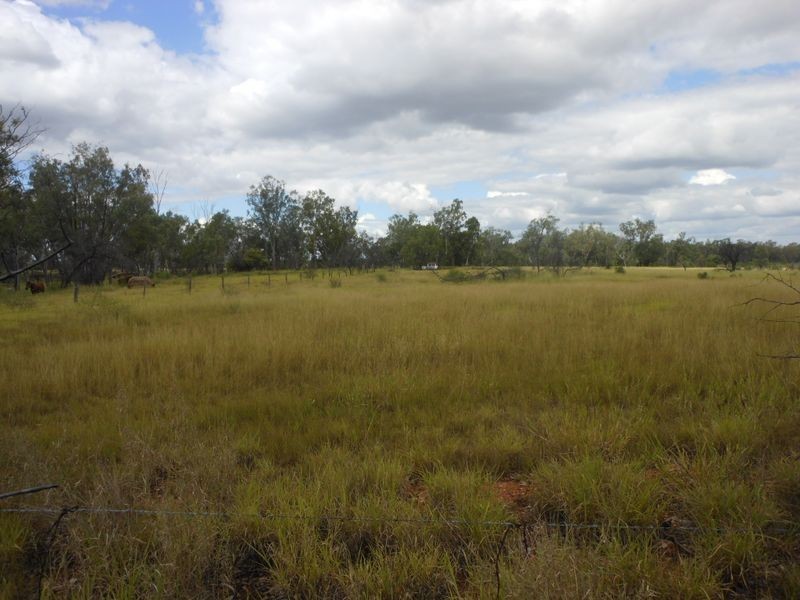 82 Melrose Drive, Clermont QLD 4721