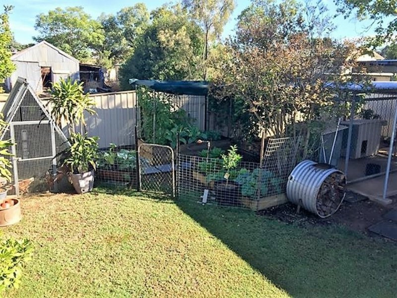 12 Box Street, Clermont QLD 4721