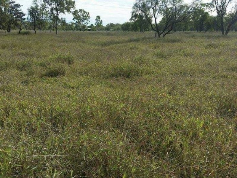 78 Old Showgrounds Road, Clermont QLD 4721