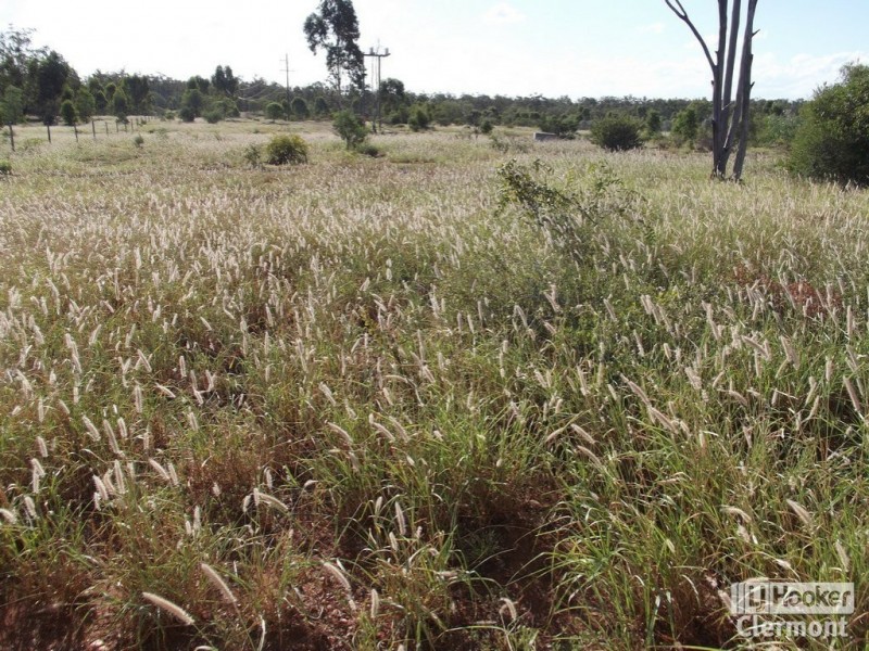 296 Rubyvale Road, Clermont QLD 4721