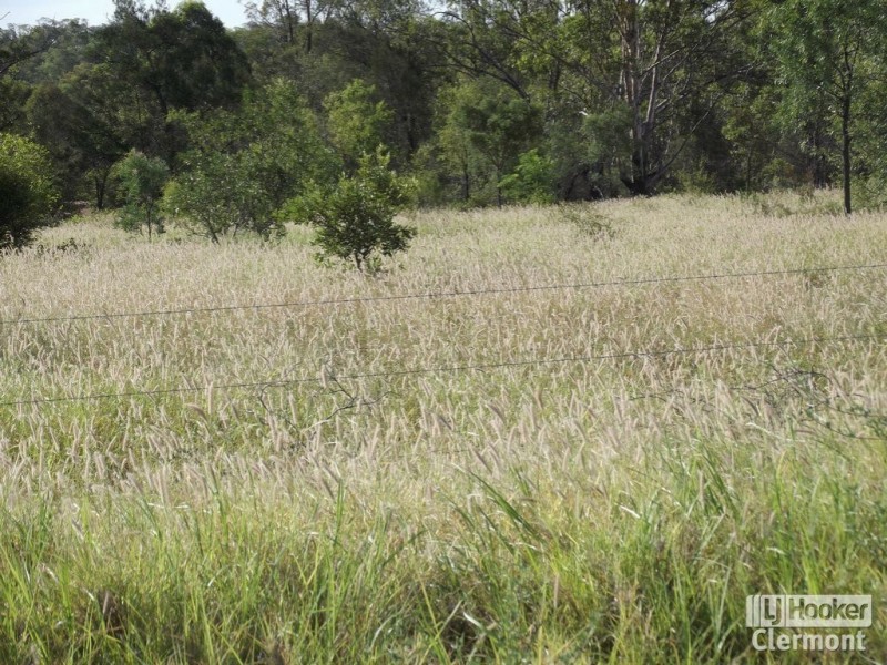 296 Rubyvale Road, Clermont QLD 4721