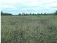 Lot 18 Melrose Drive, Clermont QLD 4721