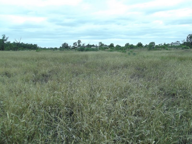 Lot 18 Melrose Drive, Clermont QLD 4721