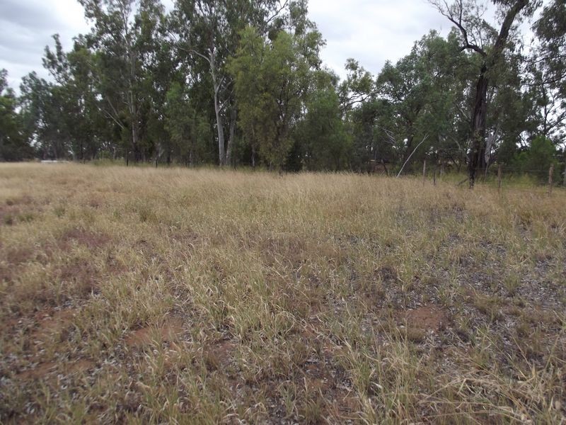 Lot 20 Melrose Drive, Clermont QLD 4721