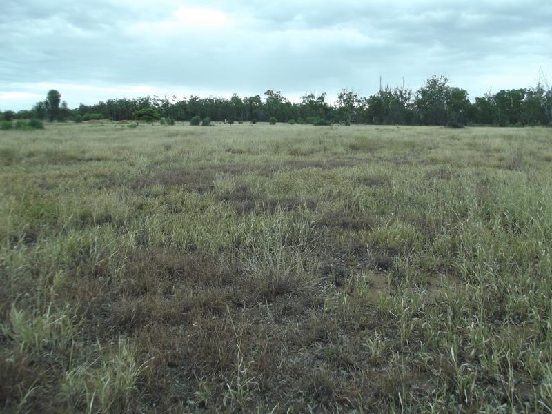 Lot 20 Melrose Drive, Clermont QLD 4721