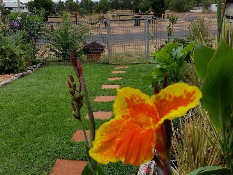 75 Melrose Drive, Clermont QLD 4721