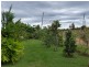 75 Melrose Drive, Clermont QLD 4721