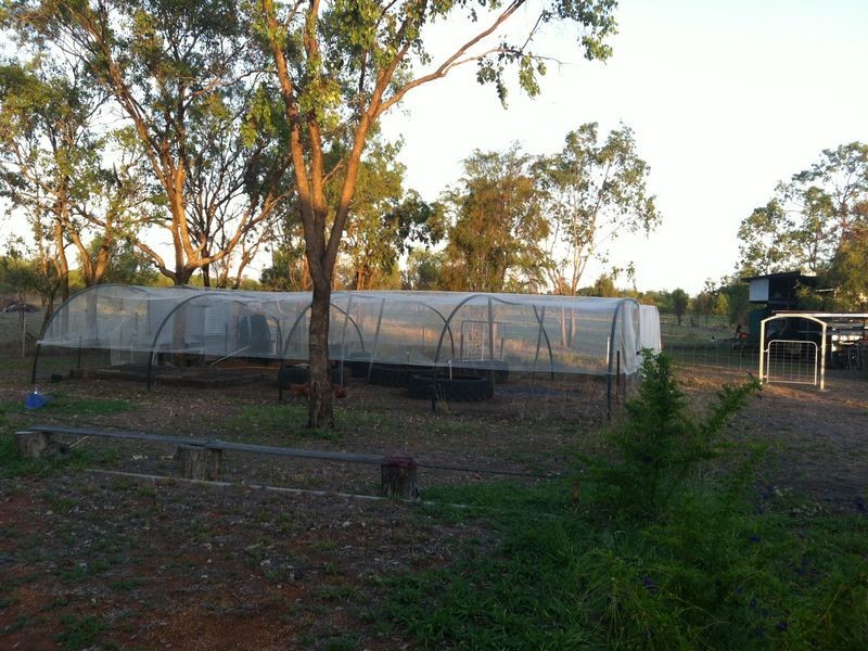 42 Hibernia Rd, Capella QLD 4723