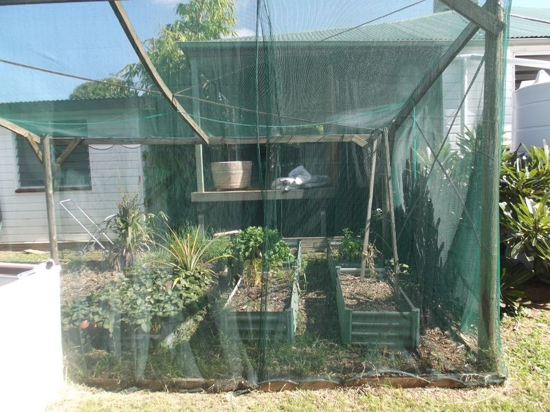 13 Sirius Street, Clermont QLD 4721