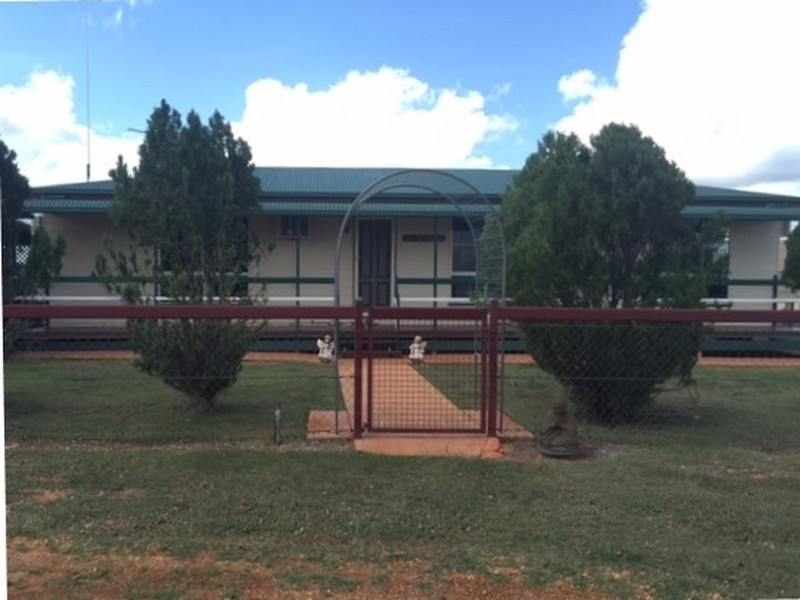 387 Spoonbill Road, Clermont QLD 4721