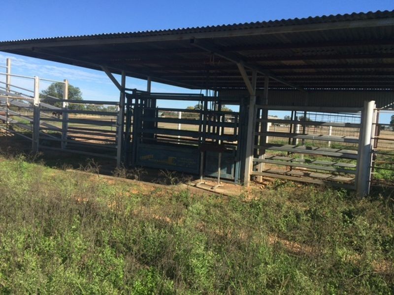 387 Spoonbill Road, Clermont QLD 4721