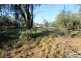 3 Fraser Lane, Clermont QLD 4721