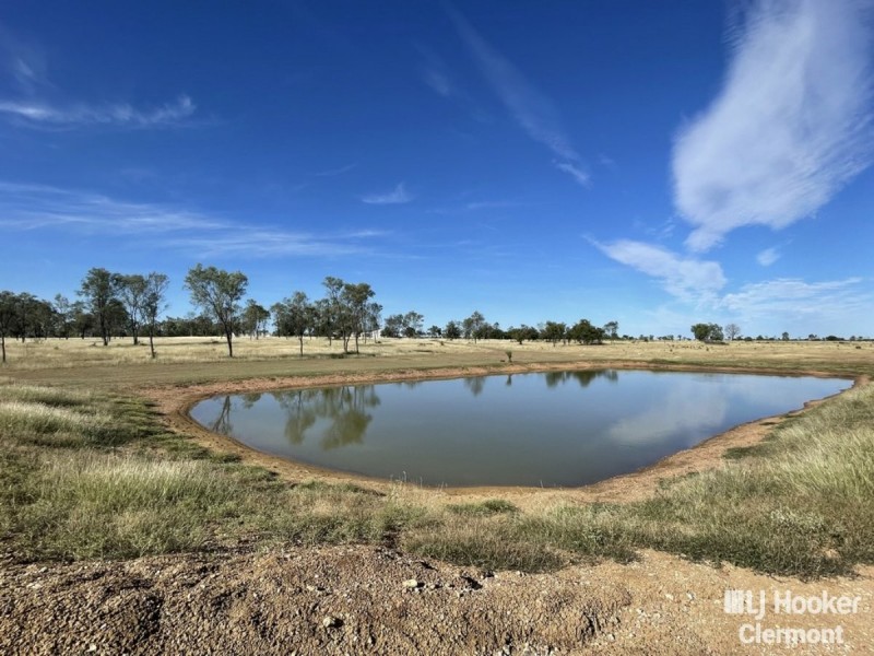 169 Spoonbill Road, Clermont QLD 4721