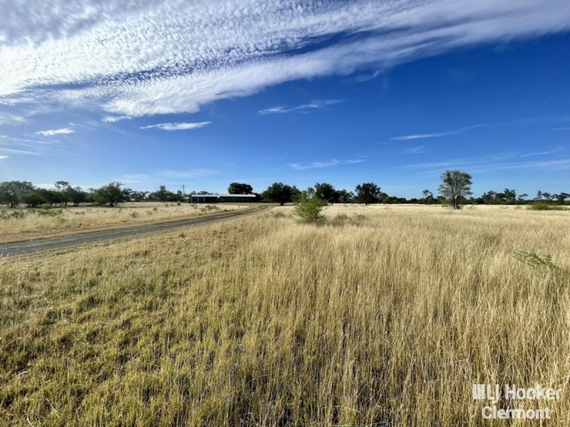 169 Spoonbill Road, Clermont QLD 4721