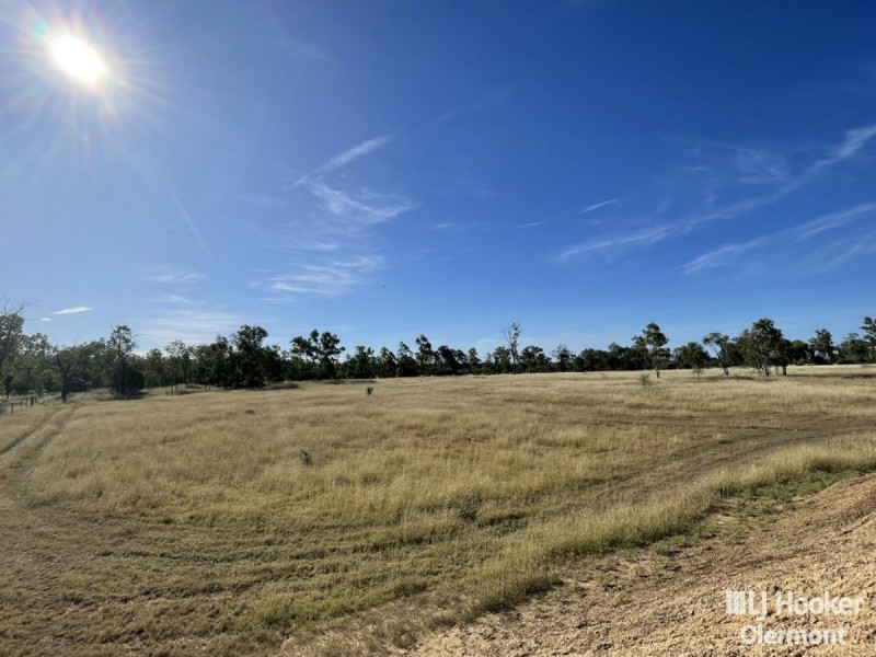 169 Spoonbill Road, Clermont QLD 4721