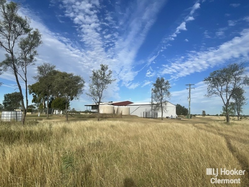 169 Spoonbill Road, Clermont QLD 4721