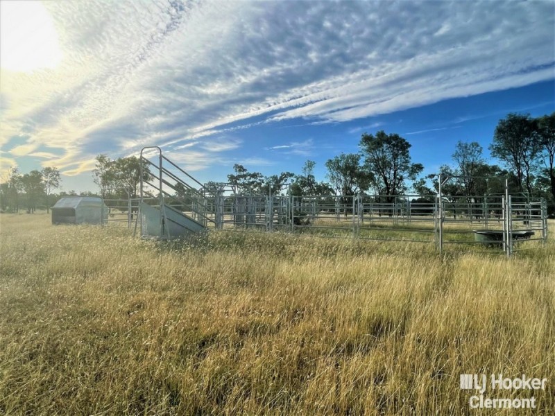 169 Spoonbill Road, Clermont QLD 4721