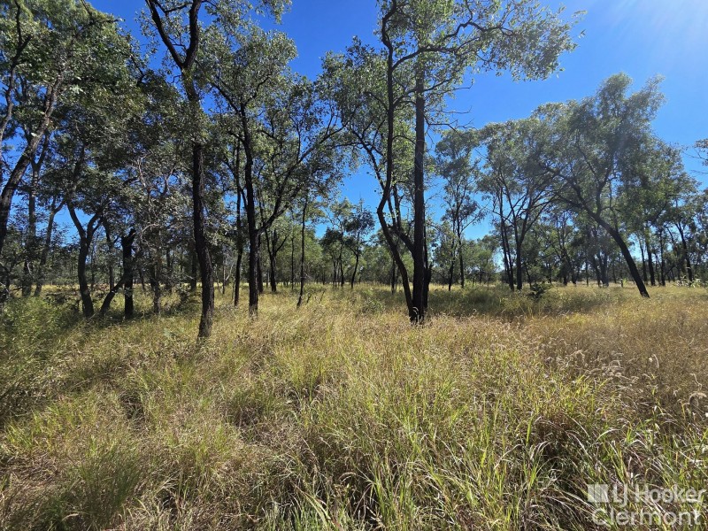 21 Matchett Lane, Clermont QLD 4721