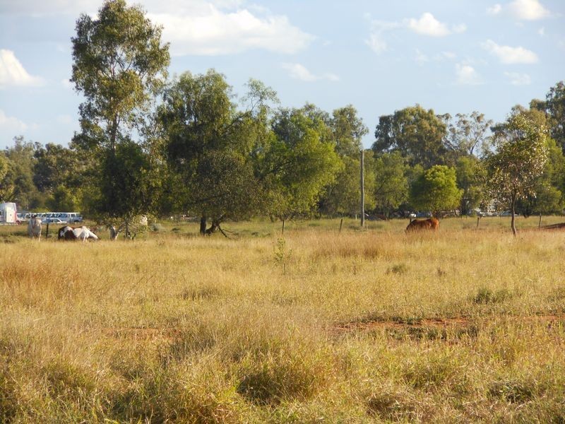 9 COTTON PATCH LANE, Clermont QLD 4721