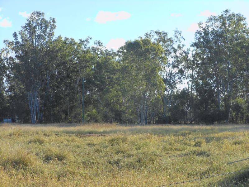 9 COTTON PATCH LANE, Clermont QLD 4721