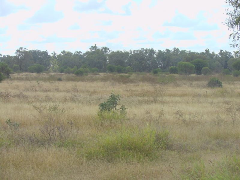 000 Gregory Highway, Clermont QLD 4721