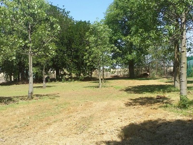 739 Fleurs Lane, Clermont QLD 4721