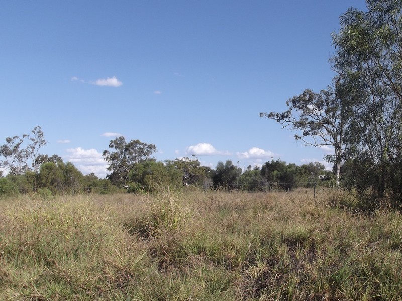 Lot 86 Mistletoe Street, Clermont QLD 4721