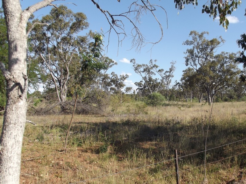 Lot 86 Mistletoe Street, Clermont QLD 4721