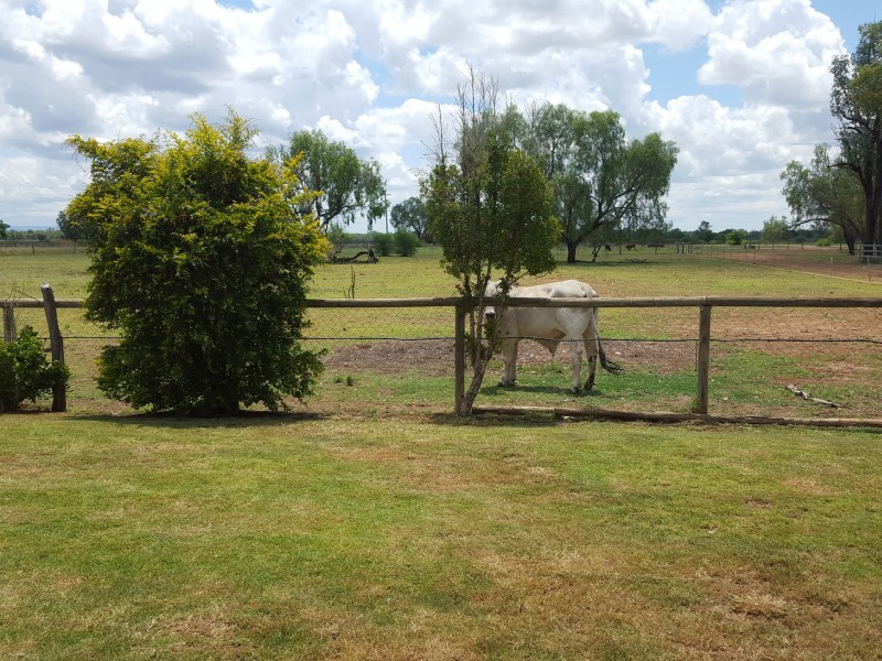 15485 Gregory Highway, Clermont QLD 4721