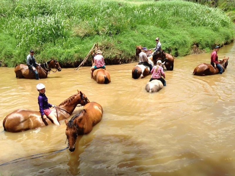 15485 Gregory Highway, Clermont QLD 4721