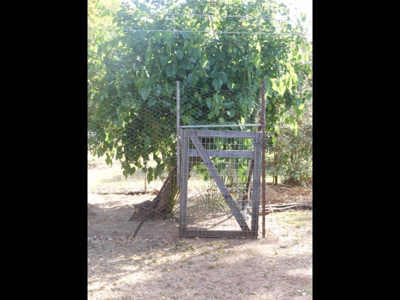 10 McLean Street, Capella QLD 4723