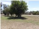 155 Racecourse Road, Clermont QLD 4721